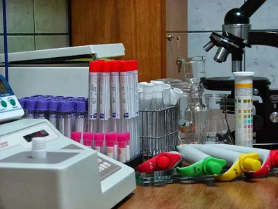 Przychodnia Weterynaryjna Wojciech Składanek